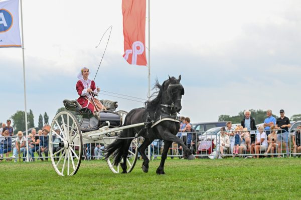 DK Falko VDK (Tsjalle 454) met Maud Gerding-5169-20240824