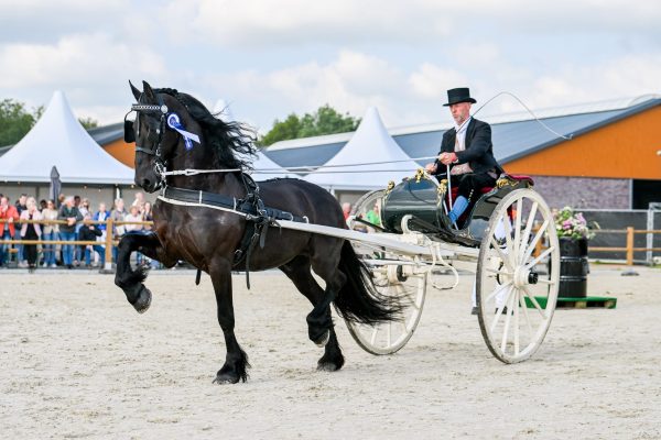 EK Durk (Tsjalle 454) met Koenraad Zijlstra-9232-20240622