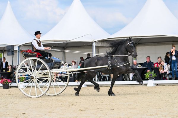 EK GPD Aron (Jouwe 485) met Augustinus Hoekstra-8535-20240622