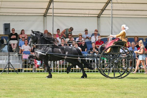 EK HovenierWester Ferre (Eise 489) met Linda Wester-7444-20240807