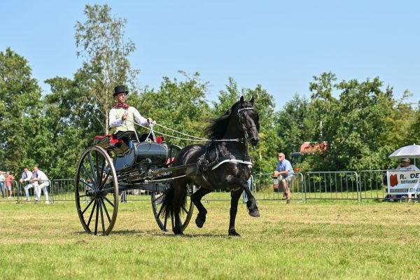 LK Fryso 518 (Hessel 480) met Sybren Minkema-1485-20240720