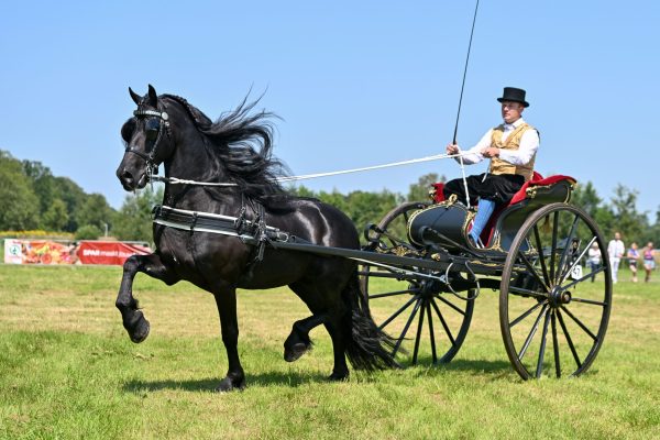 LK Gys (Tsjalle 454) met Jasper van Manen-1018-20240720